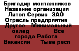 Бригадир монтажников › Название организации ­ Литоп-Сервис, ЗАО › Отрасль предприятия ­ Другое › Минимальный оклад ­ 23 000 - Все города Работа » Вакансии   . Тыва респ.